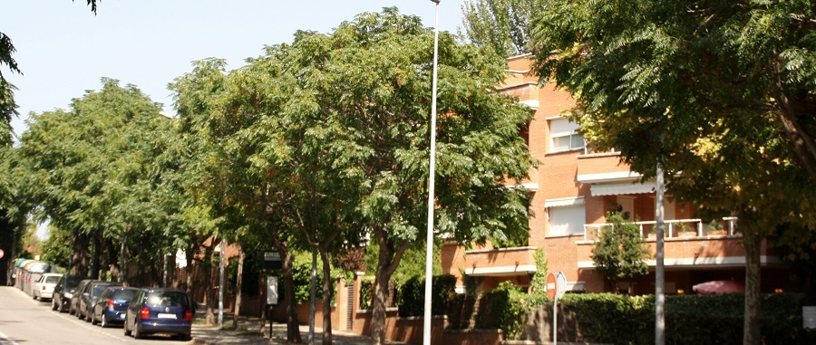 Parc Central, Sant Cugat del Valles